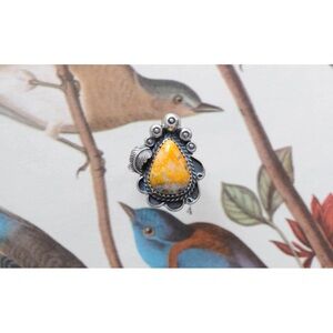 Native American Navajo Ring